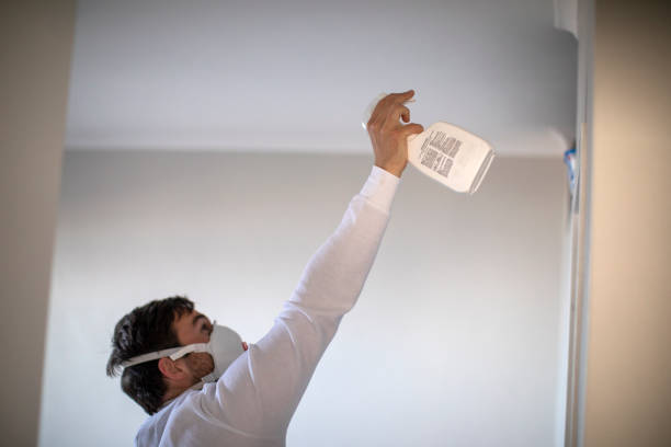 Best White Mold Remediation in St Joseph, MO