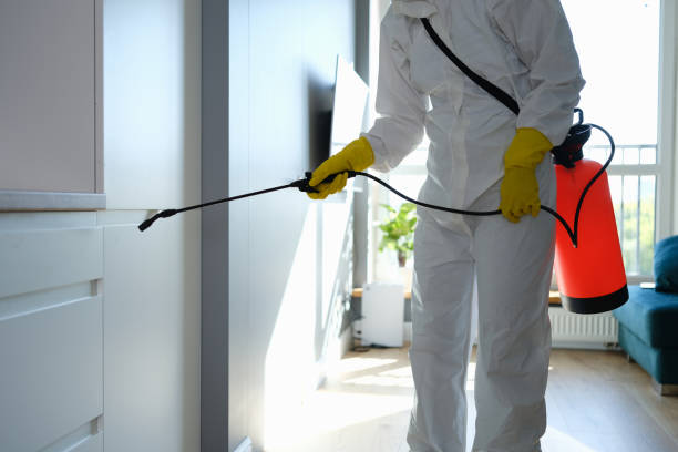 Best Mold Testing and Inspection Services in St Joseph, MO